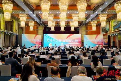 2024海峽兩岸 湖南 青年交流發(fā)展大會(huì)在長(zhǎng)沙啟幕