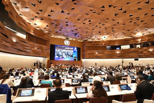 盧沙野大使談臺海局勢 決不允許臺灣從祖國分裂出去